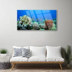 tulup.si Slika na steklu Barrier reef narava 100x50 cm 2 obešalnika
