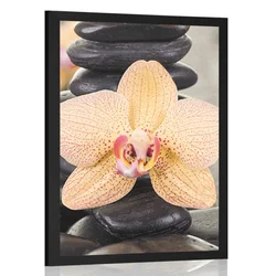 Plakat rumena orhideja in Zen kamni - 60x90 no frame