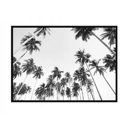 shumee PLAKAT ZA SLIKE V OKVIRJU 43x33 cm Palme P909
