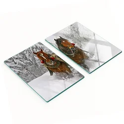 shumee Elegantne in trpežne steklene table s potiskom Sani 2x40x52 cm