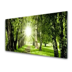 tulup.si Slika na steklu Sun forest narava pot 100x50 cm 4 obešalnika