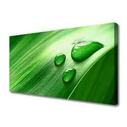 tulup.si Slika na platnu Leaf water drops 140x70 cm