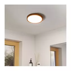 Eglo 901326-LED Plafonsko svetlo za kupatilo FUEVA LED/14,2W/230V O27,8 cm IP44 crno