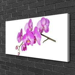 tulup.si Slika na platnu Orhideja orhideje 100x50 cm