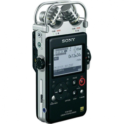 Sony PCM-D100