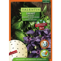 SEME VALENTIN Bazilika Smart Disk