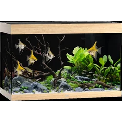 Juwel Akvarij Rio 290 LED - svetel les