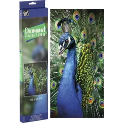Grafix Diamantno slikarstvo Peacock 40x50cm