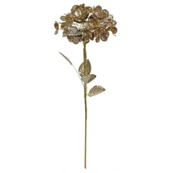 Shishi Zlata hortenzija, 60 cm