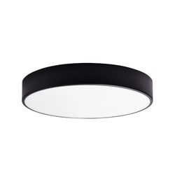 LED kupatilsko plafonsko svetlo RENE LED/15W/230V IP44 crno