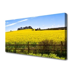 tulup.si Slika na platnu Rastlin polje landscape 100x50 cm