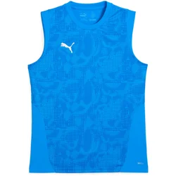 Dres Puma TeamCUP Training Longsleeve Jersey