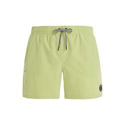 Mens beach shorts Protest PRTYESSINE