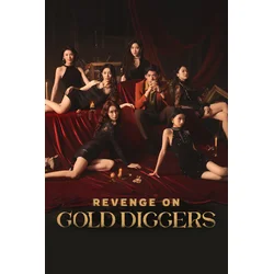 Revenge On Gold Diggers PC/XBOX LIVE Key EUROPE
