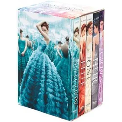 The Selection 1-5 Box Set