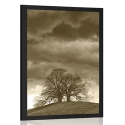 Plakat sepia samotna drevesa - 30x45 silver