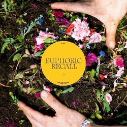 Braids - Euphoric Recall (LP)
