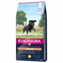 Eukanuba hrana za pse Junior Large, 15 kg