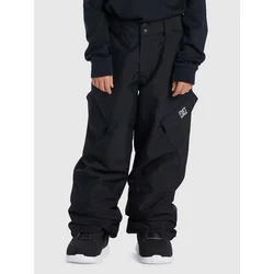 DC Banshee Kids Pants black