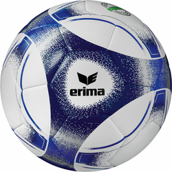 Lopta Erima Erima Hybrid 2.0 Trainingsball
