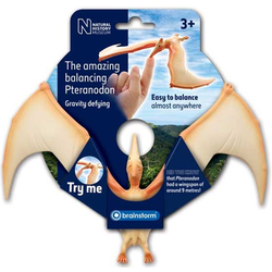 shumee Uravnoteženje pteranodona