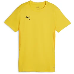 Dres Puma teamGOAL Jersey Wmn
