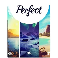 Perfect Steam Key EUROPE