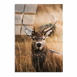 Wallity Slika UV-147, 70 x 100 cm