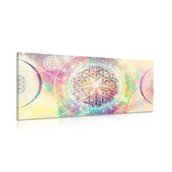 Slika Mandala v zanimivi izvedbi - 60x30