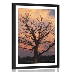 Plakat s paspartujem čudovito drevo na travniku - 60x90 black