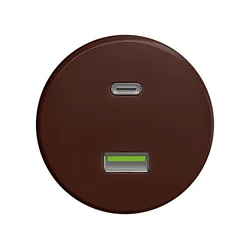 Reblig - Retro USB vtičnica A+C brez okvirja, rjava