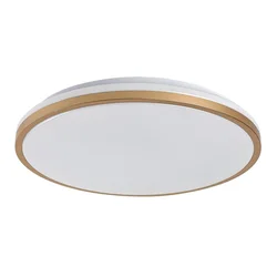 RABALUX Slava 75058 LED plafonjera
