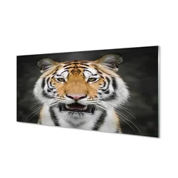 tulup.si Steklena slika Tiger 120x60 cm 2 obešalnika