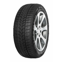 Minerva Frostrack UHP ( 205/50 R17 93V XL )