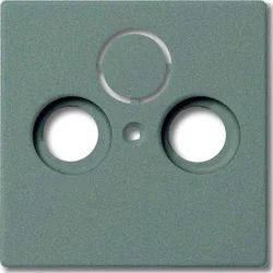 Busch-Jaeger Busch-Jaeger Centralni disk meteor-gr 1743-803, (20891431)