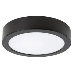 Rabalux Plafonjera Shaun2, 15W, 4000K, Okrugla, Crna