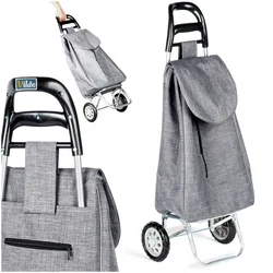Vilde 489328 - Kolica za pijacu 30L