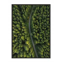 shumee PLAKAT V OKVIRJU 43x33 cm Cesta P718