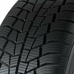 Gislaved Eurofrost 6 ( 205/55 R16 91H )