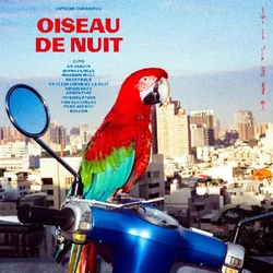 Antoine Corriveau - Oiseau de nuit (LP)