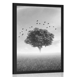 Plakat samotno drevo na travniku v črnobeli varianti - 20x30 white