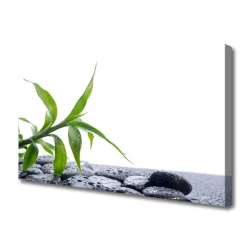 tulup.si Slika na platnu Leaf narava rastlinski stones 140x70 cm