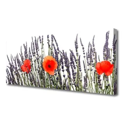 tulup.si Slika na platnu Mak grass polje 125x50 cm