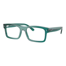 Ray-Ban RX5435 8513