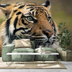 Fototapeta bengalski tiger - 539x363