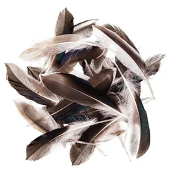 Račje perje 10 - 15 cm, 10 g