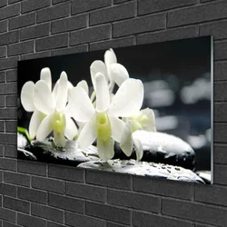 tulup.si Slika na steklu Stones orhideje 120x60 cm 2 obešalnika
