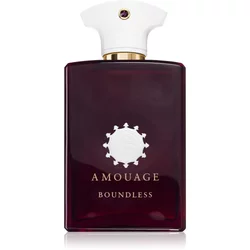 Amouage Boundless parfumska voda 100 ml unisex