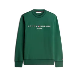 TOMMY HILFIGER Majica temno modra/temno zelena
