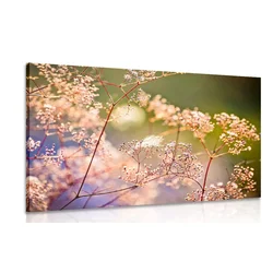 Slika tihožitje z rož - 60x40